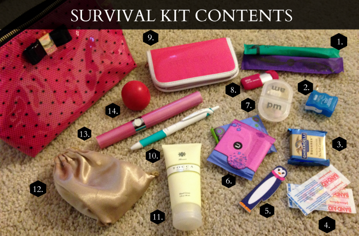 #HealthcareClinic, #CollectiveBias, Beauty Queen Survival Kit