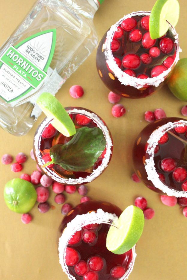 Cranberry Basil Margarita Recipe | Diary of a Debutante