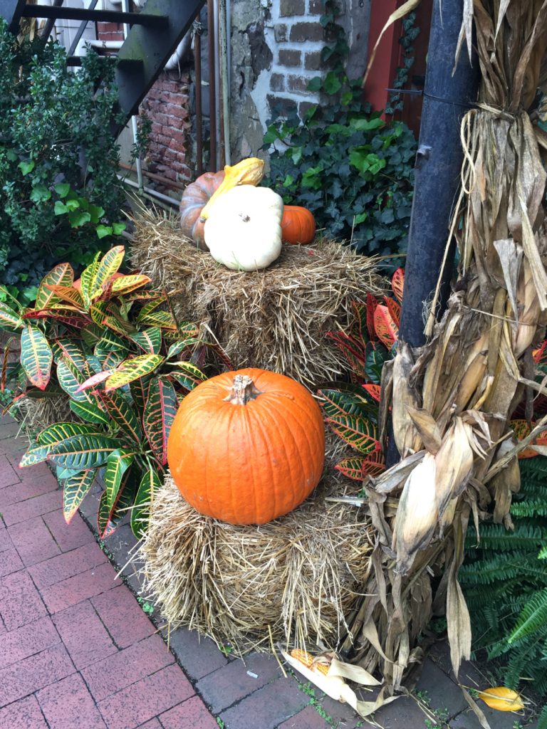 Fall Road Tripping: A Day in the Savannah Historic District - Diary of ...
