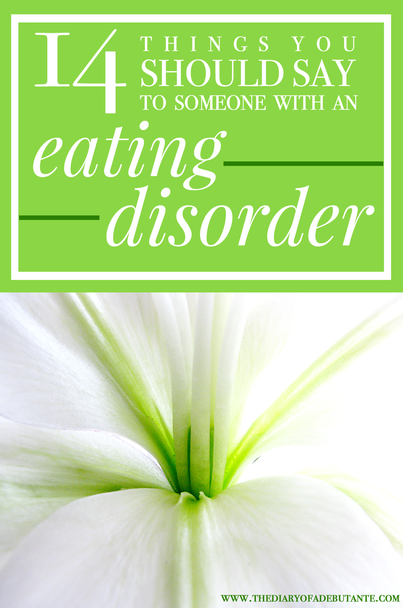 how to help someone with an eating disorder, 14 helpful things to say to someone with an eating disorder, how to help an eating disorder, eating disorders, Stephanie Ziajka, Diary of a Debutante, eating disorder awareness