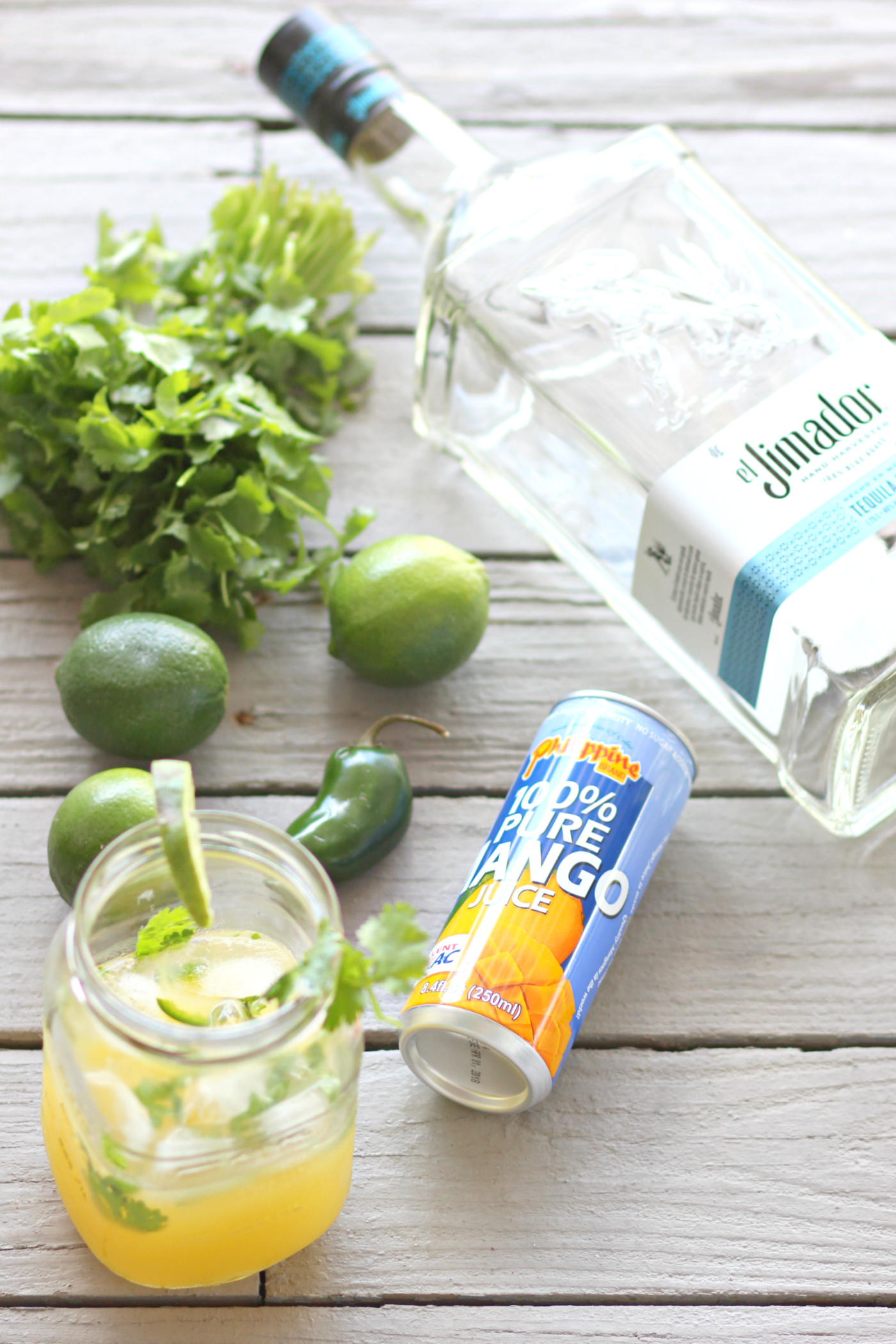 Ingredients for the best jalapeno margarita recipe by blogger Stephanie Ziajka on Diary of a Debutante