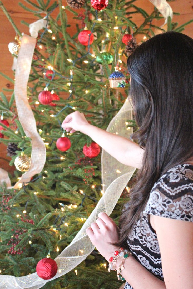 Affordable Country Christmas Decor Tips | Diary of a Debutante