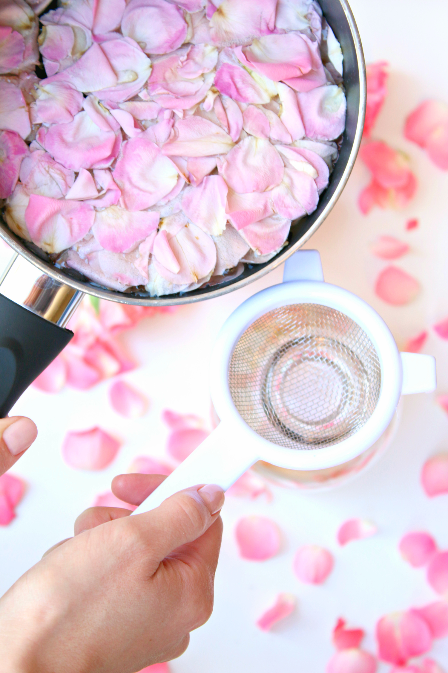 Blogger Stephanie Ziajka shows how to make your own rose water on Diary of a Debutante