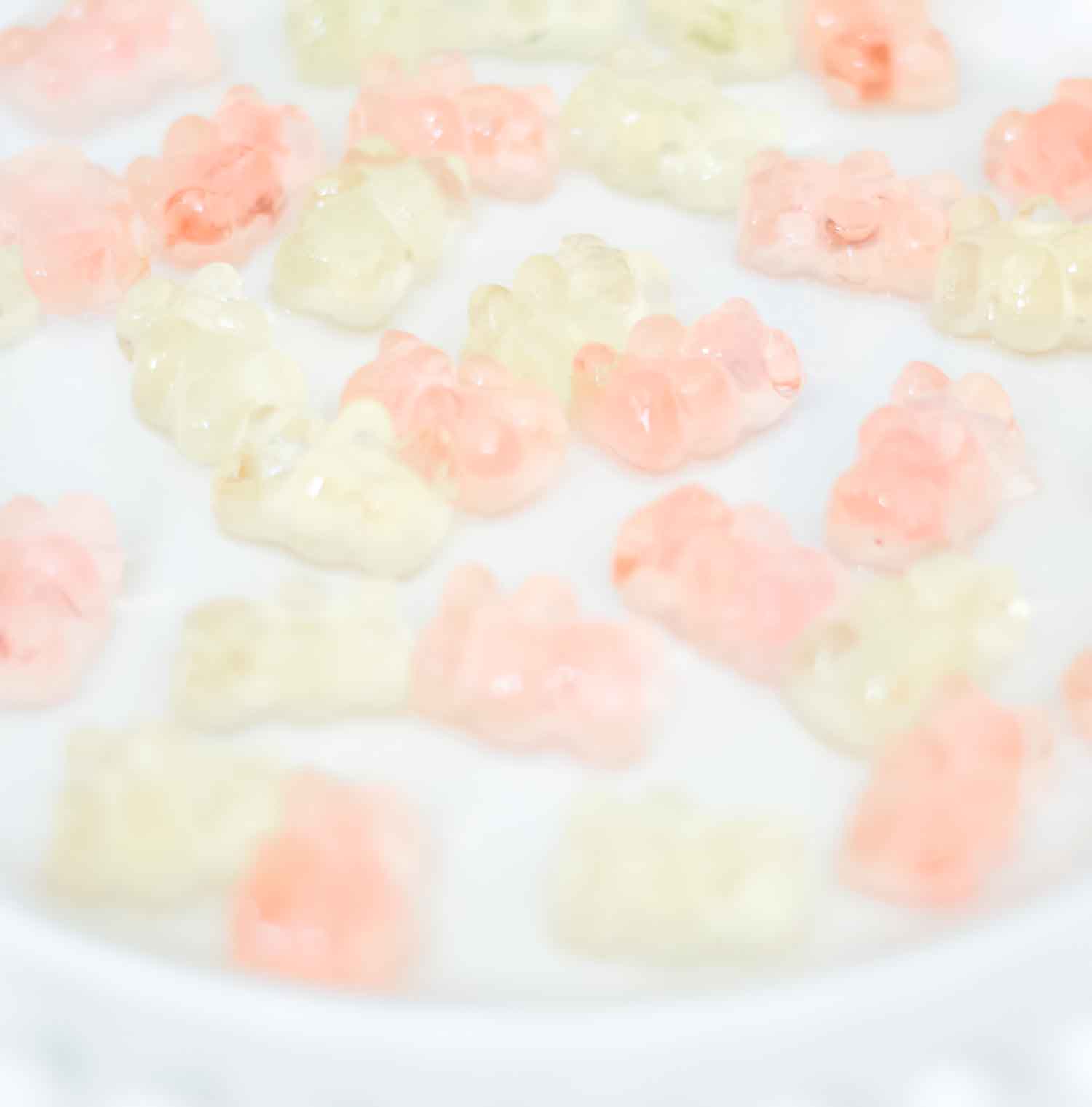 How to make champagne gummy bears by southern lifestyle blogger Stephanie Ziajka from Diary of a Debutante, easy champagne soaked gummy bears recipe using Sugarfina Champagne Bears Gummy Candy