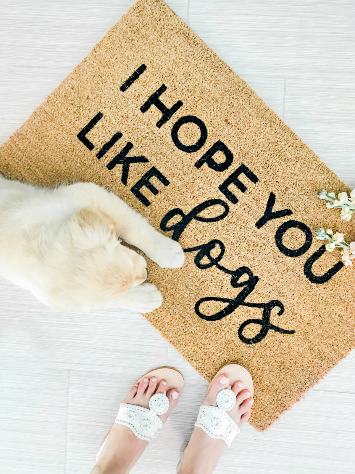 I Hope You Like Dogs doormat, Freshpet dog food review, Woman's Best Friend: 8 Reasons to Get a Puppy by southern lifestyle blogger Stephanie Ziajka from Diary of a Debutante, how a new golden retriever puppy can help if you're depressed in a new city, 8 reasons to get a puppy, 8 reasons why you should get a dog, 4 month old golden retriever puppy pictures