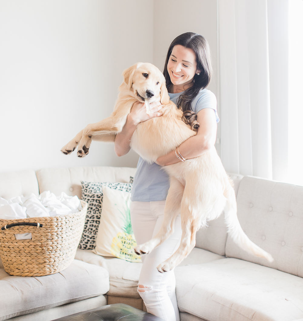 How to keep your clothes smelling fresh (even with pets) with Purex Crystals by southern blogger and dog mom Stephanie Ziajka from Diary of a Debutante, dog owner laundry hacks, pet odor removal, remove pet odor in laundry, pet laundry, laundry with pets, best laundry detergent for pet odor, add to laundry to remove odor, cute golden retriever in laundry, Purex Crystals review