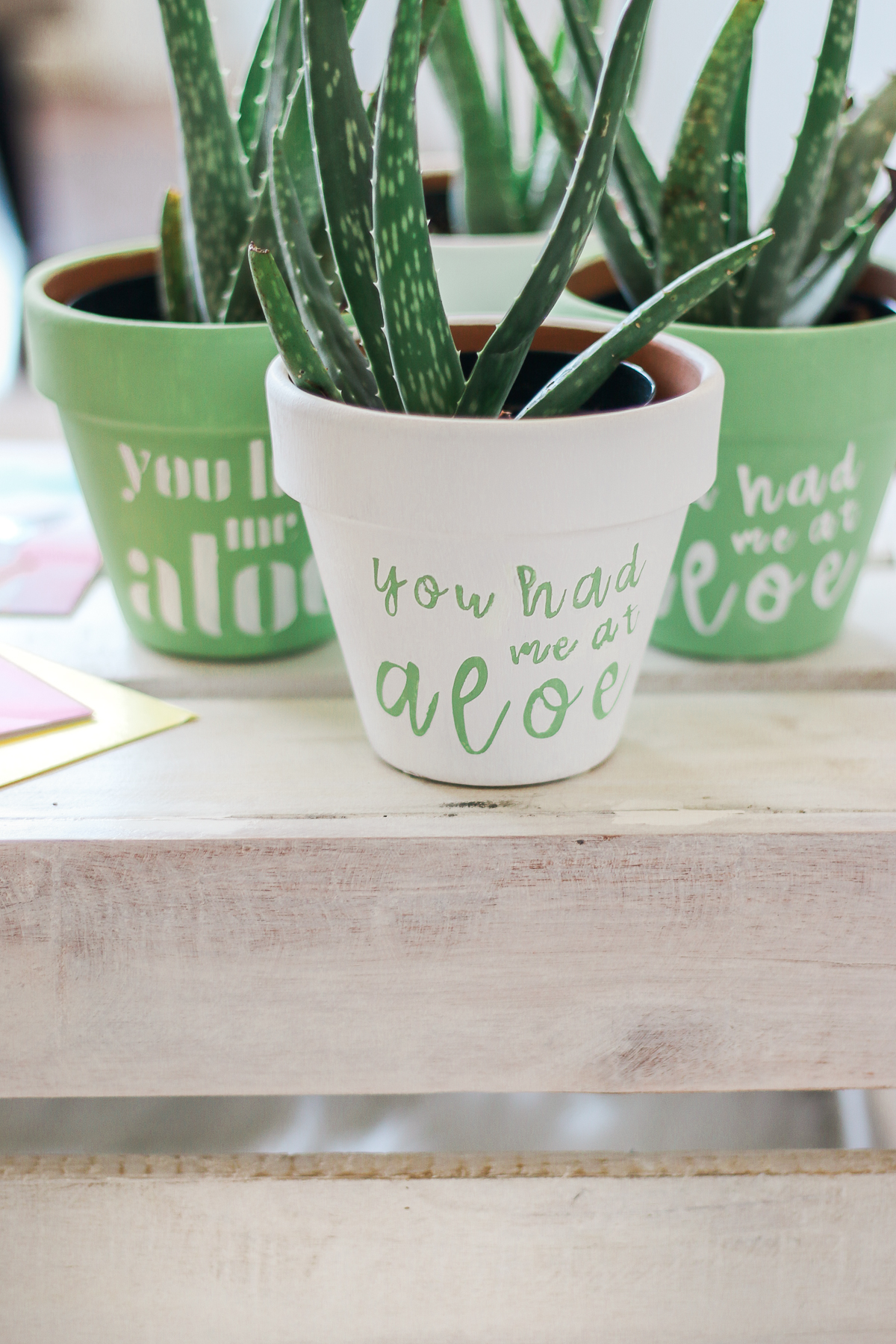 "You Had Me at Aloe" DIY succulent planter by southern blogger Stephanie Ziajka from Diary of a Debutante, gift idea for new neighbors, easy clay pot craft ideas, terracotta ideas, cute aloe vera planter, American Greetings featured artists cards