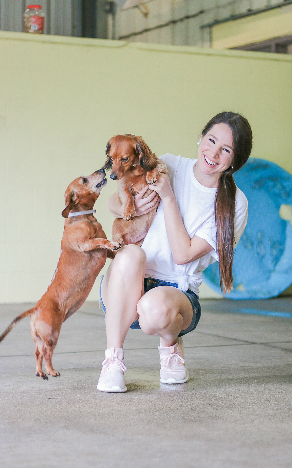 A day at Wayside Waifs Animal Shelter by Missouri blogger and dog mom Stephanie Ziajka from Diary of a Debutante, Clear the Shelters Day information, Clear the Shelters Day 2018