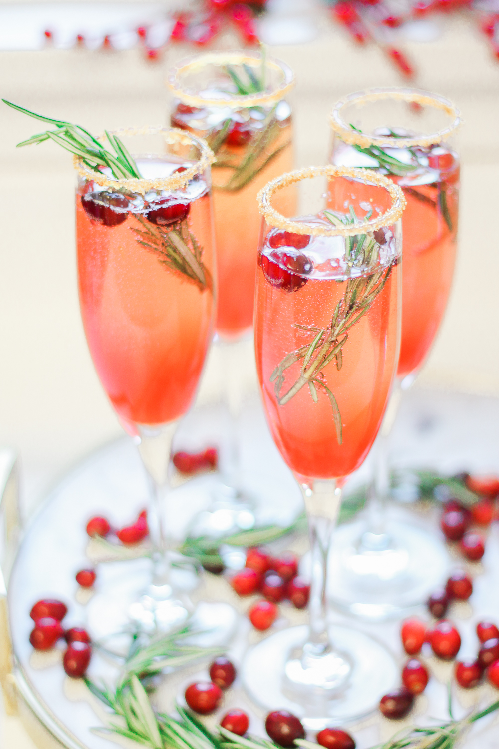 Ombré Cranberry Sparkler: A Cranberry Gin Cocktail for the Holidays by southern lifestyle blogger Stephanie Ziajka from Diary of a Debutante, Lunetta Prosecco review, fresh cranberry cocktail, red ombre cocktail