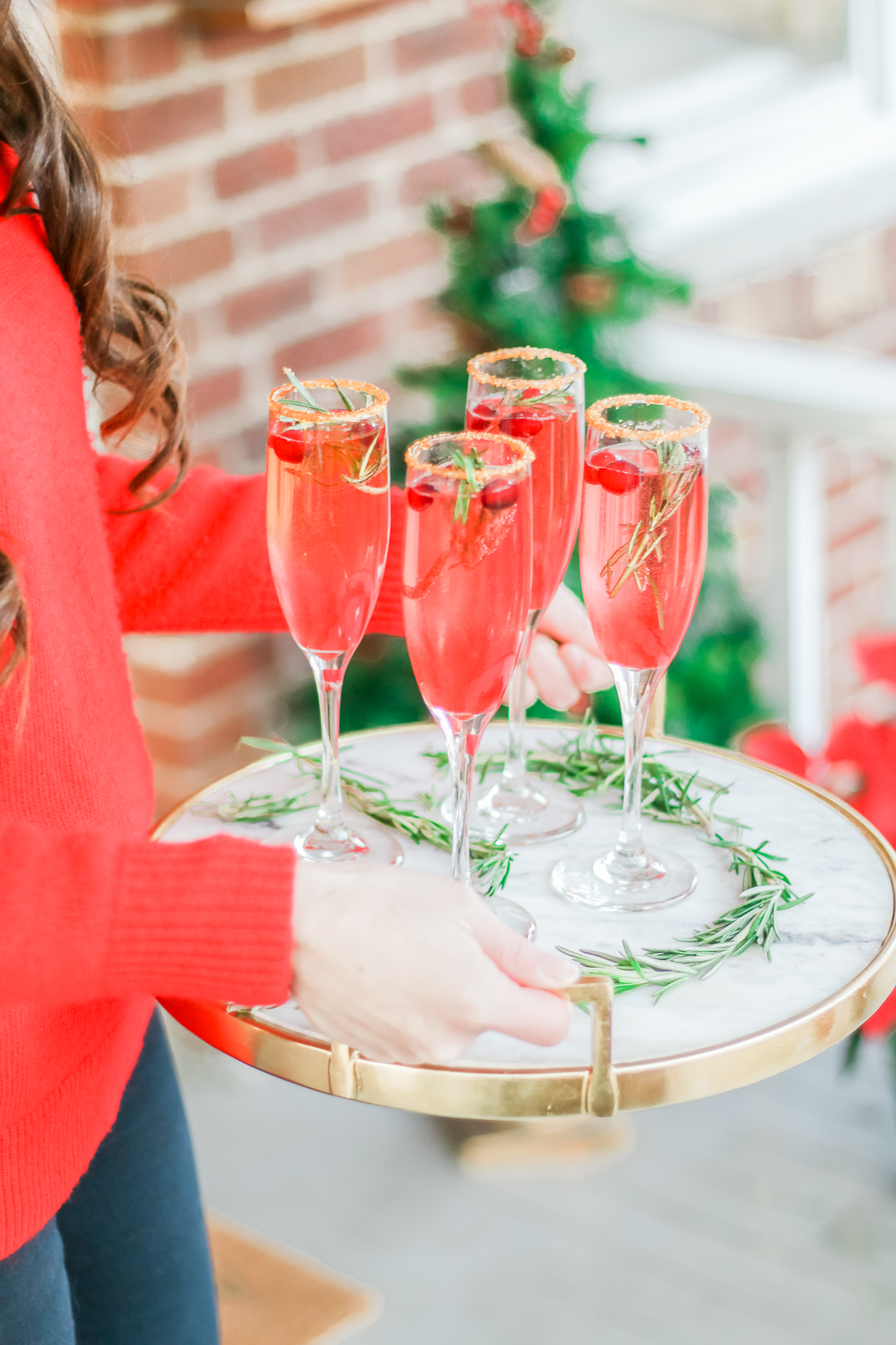Ombré Cranberry Sparkler: A Cranberry Gin Cocktail for the Holidays by southern lifestyle blogger Stephanie Ziajka from Diary of a Debutante, Lunetta Prosecco review, fresh cranberry cocktail, red ombre cocktail