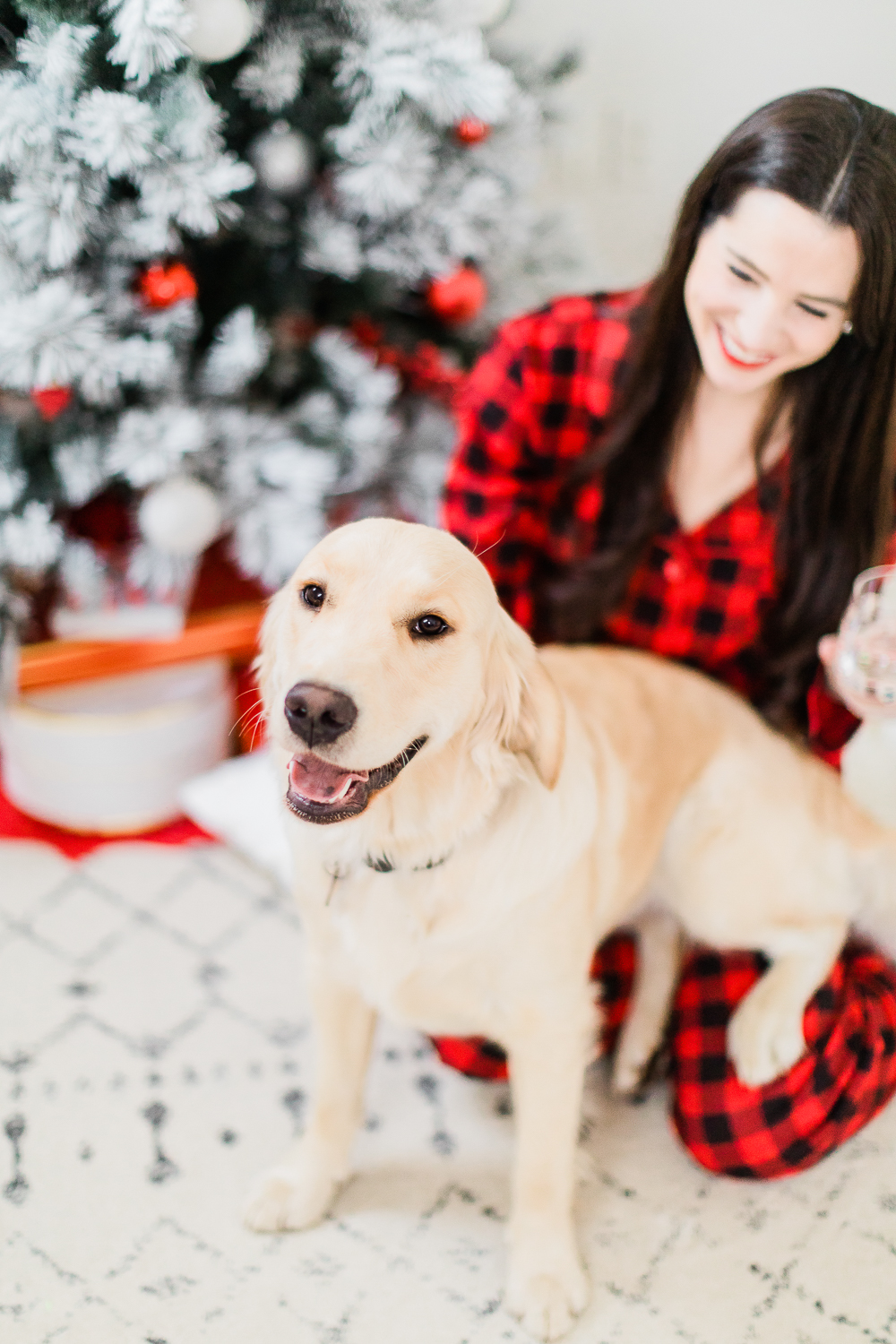A Golden Retriever Christmas: Happy Holidays from Our Furry Family to Yours by southern lifestyle blogger and golden retriever dog mom Stephanie Ziajka from Diary of a Debutante