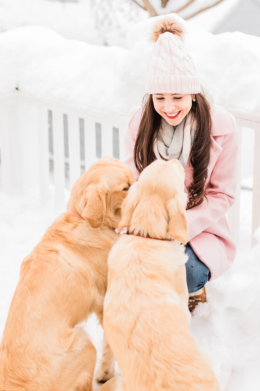 5 Easy Ways to Save on Pet Supplies and Affordable Quality Dog Food by the popular affordable fashion and southern lifestyle blog Diary of a Debutante by Stephanie Ziajka, best cheap dry dog food, Purina One Smartblend Lamb and Rice Formula at Sam's Club, best dog food at Sam's Club, cute golden retriever puppies in snow, cute golden retrievers in the snow