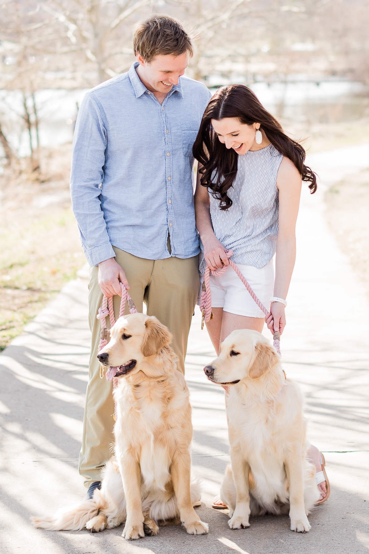 How to Keep Your Dogs Flea and Tick Free: A PetArmor Plus Review by popular southern lifestyle blogger Stephanie Ziajka from Diary of a Debutante, PetArmor Plus for Dogs review, PetArmor Plus reviews, PetArmor Plus for Dogs at PetSmart, cute golden retriever puppies