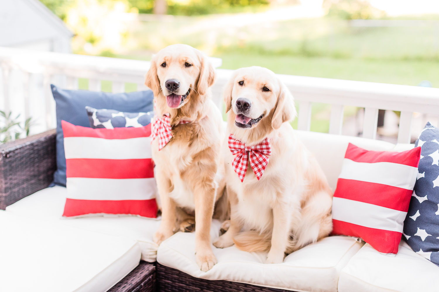 4th of July golden retrievers, 4th of July puppies, red gingham dog bows and collars, Currently Obsessed: Cute Female Dog Bows for Large Breeds by popular southern lifestyle blogger and golden retriever dog mom Stephanie Ziajka from Diary of a Debutante, how to make dog bows stay in, designer dog bows, female dog bows, 4th of July dog bows, cute dog bows for large breeds