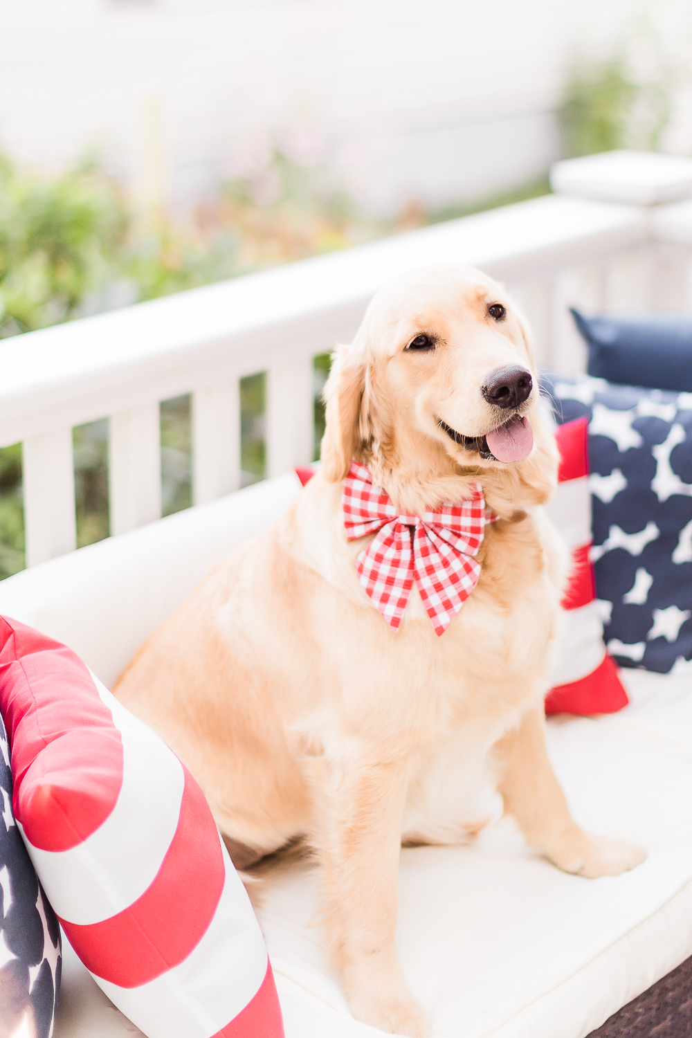 Best of July: The Top 10 Things I Loved in June 2019 by popular midwest lifestyle blogger Stephanie Ziajka from Diary of a Debutante, cute golden retriever puppy on 4th of July, red gingham dog bow, 4th of July patio decor