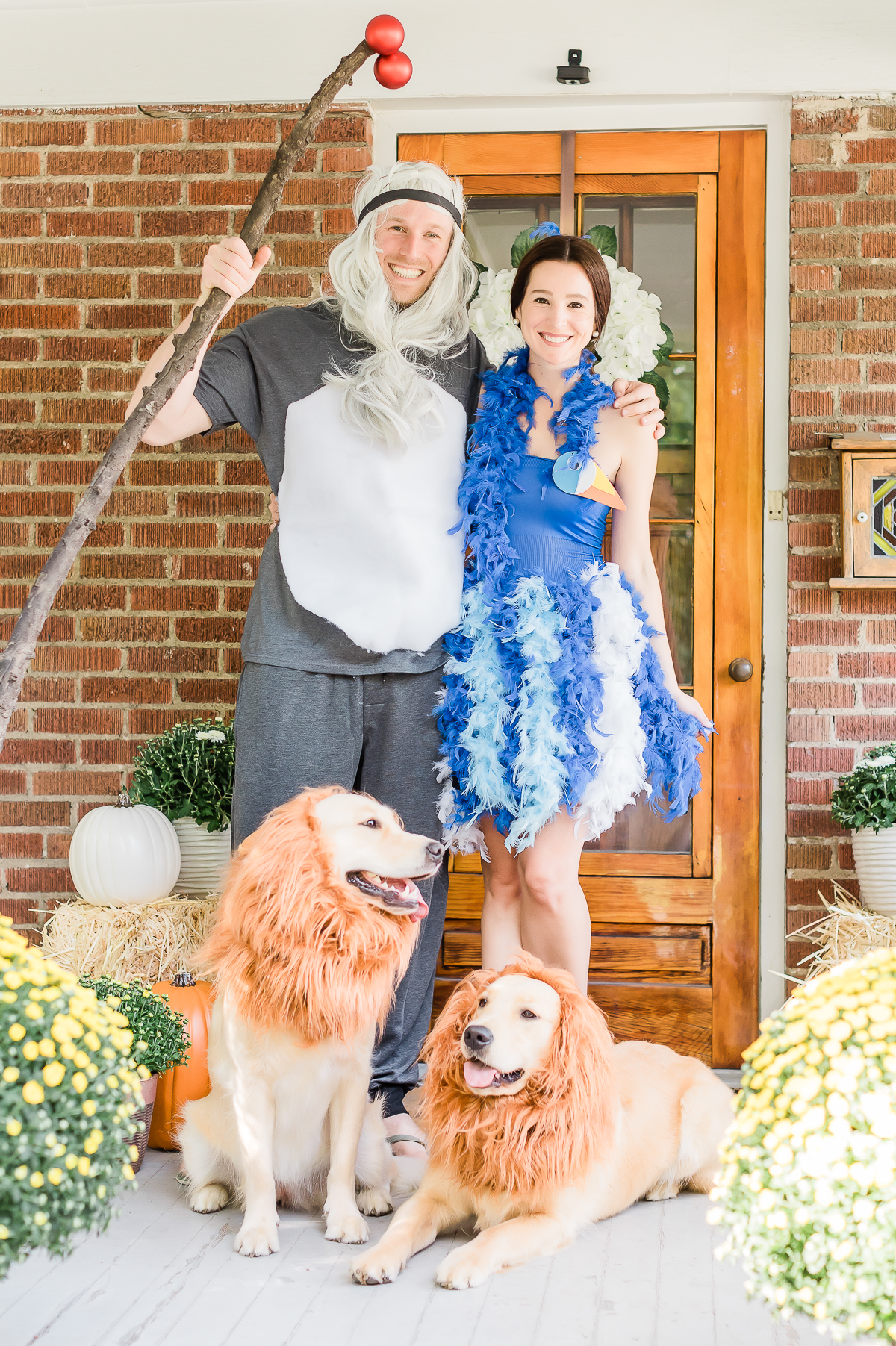 DIY Lion King Family Costume Tutorial by popular DIY blogger Stephanie Ziajka on Diary of a Debutante, DIY Zazu costume, DIY raffiki costume, dog lion mane costume, golden retriever lion mane