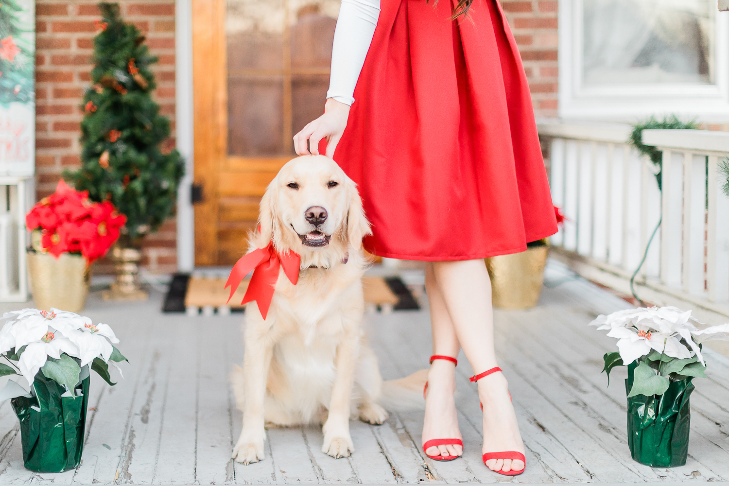 golden retriever with red bow, Amazon red bow skirt, Amazon red block heel sandals, popular affordable fashion blogger Stephanie Ziajka, popular affordable fashion blog Diary of a Debutante