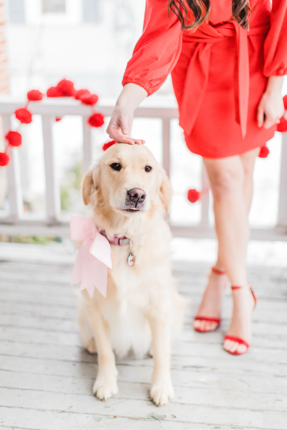 Valentines Day golden retriever, Valentines Day pets, pink dog bow