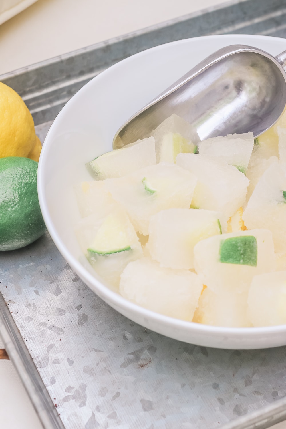 Blogger Stephanie Ziajka shows how to make lemon juice ice cubes in today's post