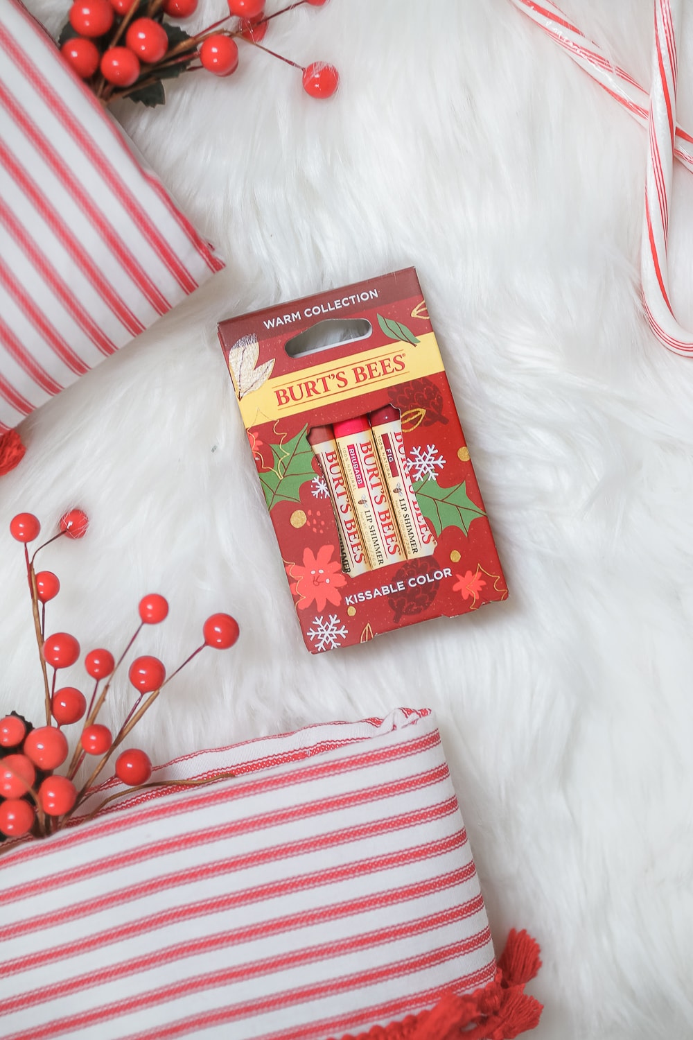 Blogger Stephanie Ziajka shares why the Burt's Bees Mistletoe Kiss Gift Set is a perfect stocking stuffer for teens on Diary of a Debutante