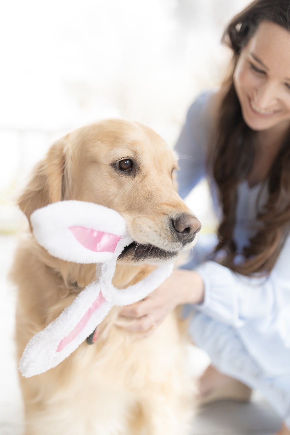 Easter basket filler ideas for dogs rounded up by blogger Stephanie Ziajka on Diary of a Debutante