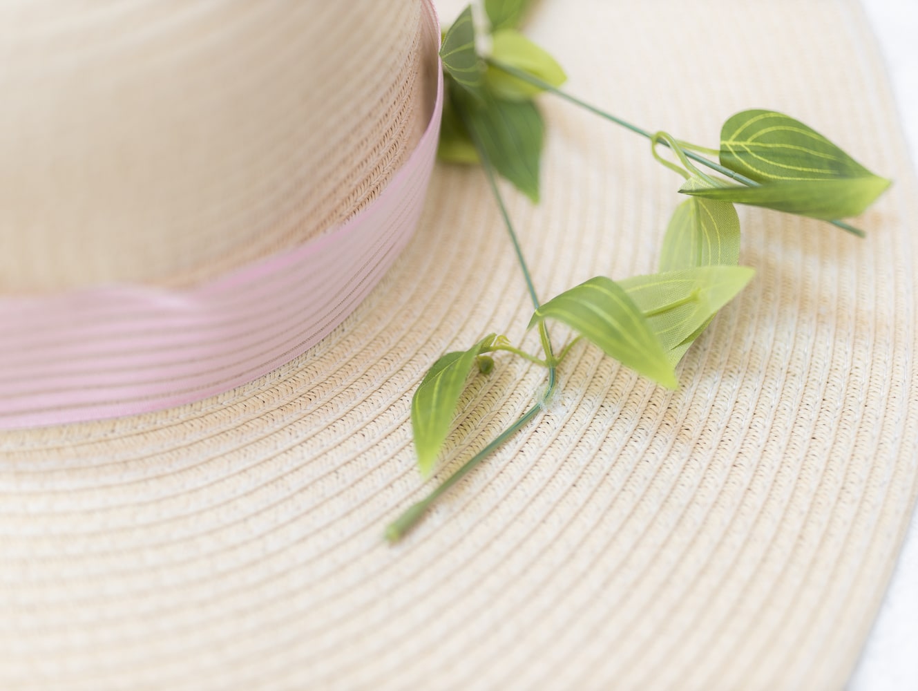 Step one of how to design your own Kentucky Derby hat on Diary of a Debutante