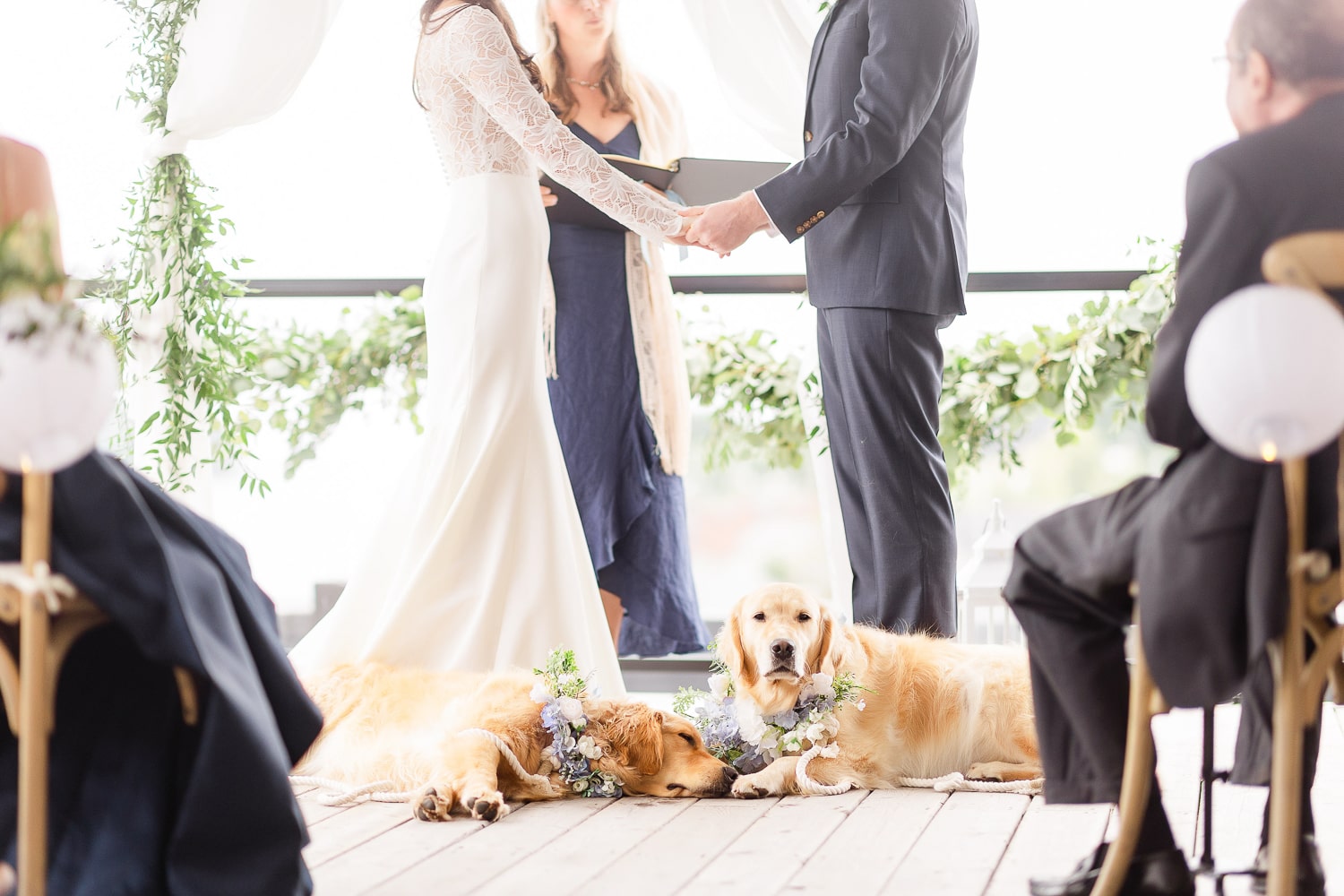 Blogger Stephanie Ziajka shows how she included her golden retrievers in her Camden Maine wedding ceremony on Diary of a Debutante