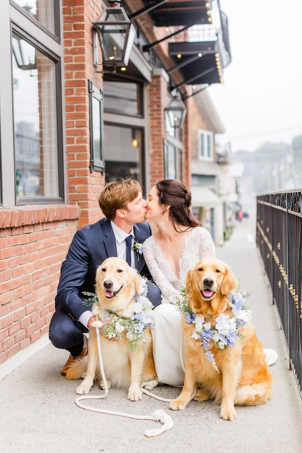 Golden retrievers in a Camden Maine wedding at the 16 Bay View Hotel on Diary of a Debutante