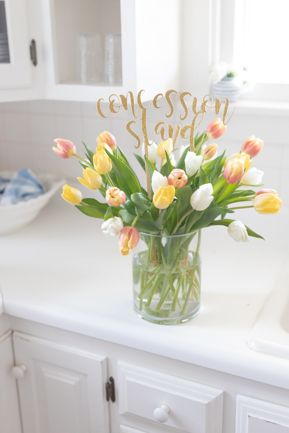 Blogger Stephanie Ziajka shares March Madness decorations on Diary of a Debutante