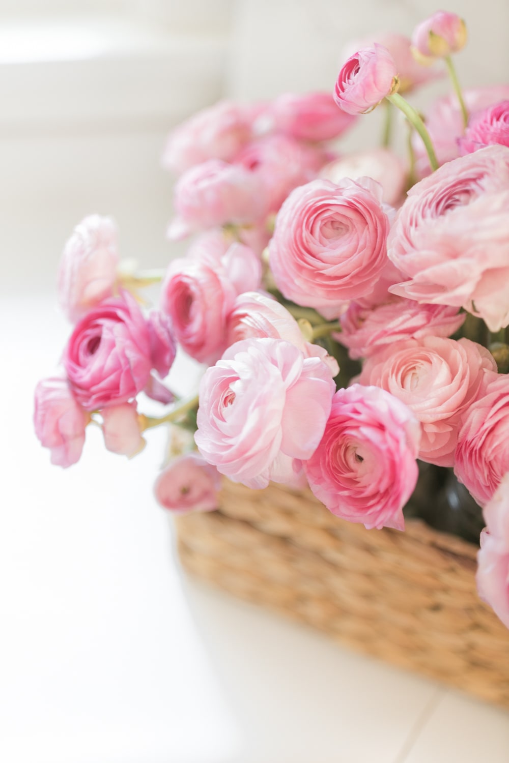 Blogger Stephanie Ziajka shows how to make a ranunculus arrangement on Diary of a Debutante
